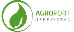 logo-footer