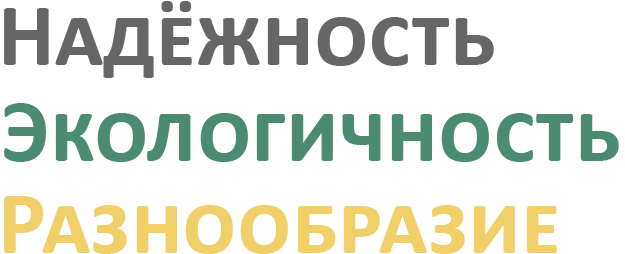 Наш слоган